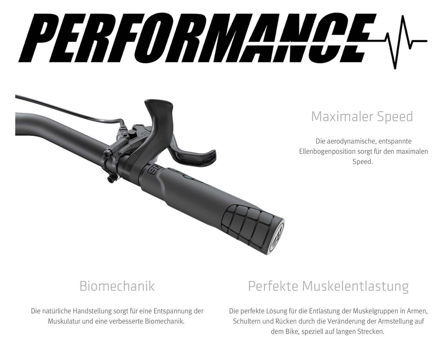 SQlab Innerbarends Modell "411 R Carbon" in Carbon - Original