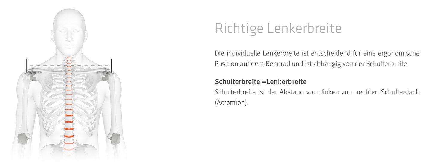 SQlab Rennlenker Modell 312 R Carbon 31,8mm in 380 / 400 / 420 oder 440mm - Original
