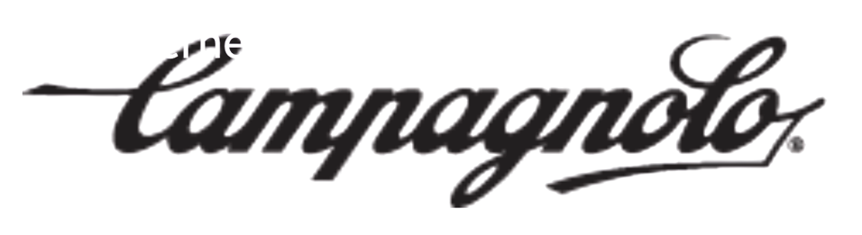 CAMPAGNOLO Kettennietstift für Ultra Link 12-fach Kette CN-SR600 - Original > 5CNSR600