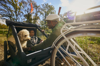 CROOZER "YUUNA" DOG Modul