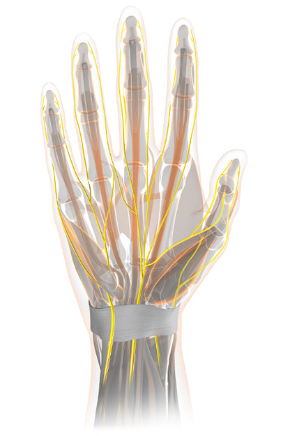 SQlab 710 Fahrradgriffe – ergonomisch mit Entlastungsflügel, Ergobar, S/M/L, Trekking & MTB