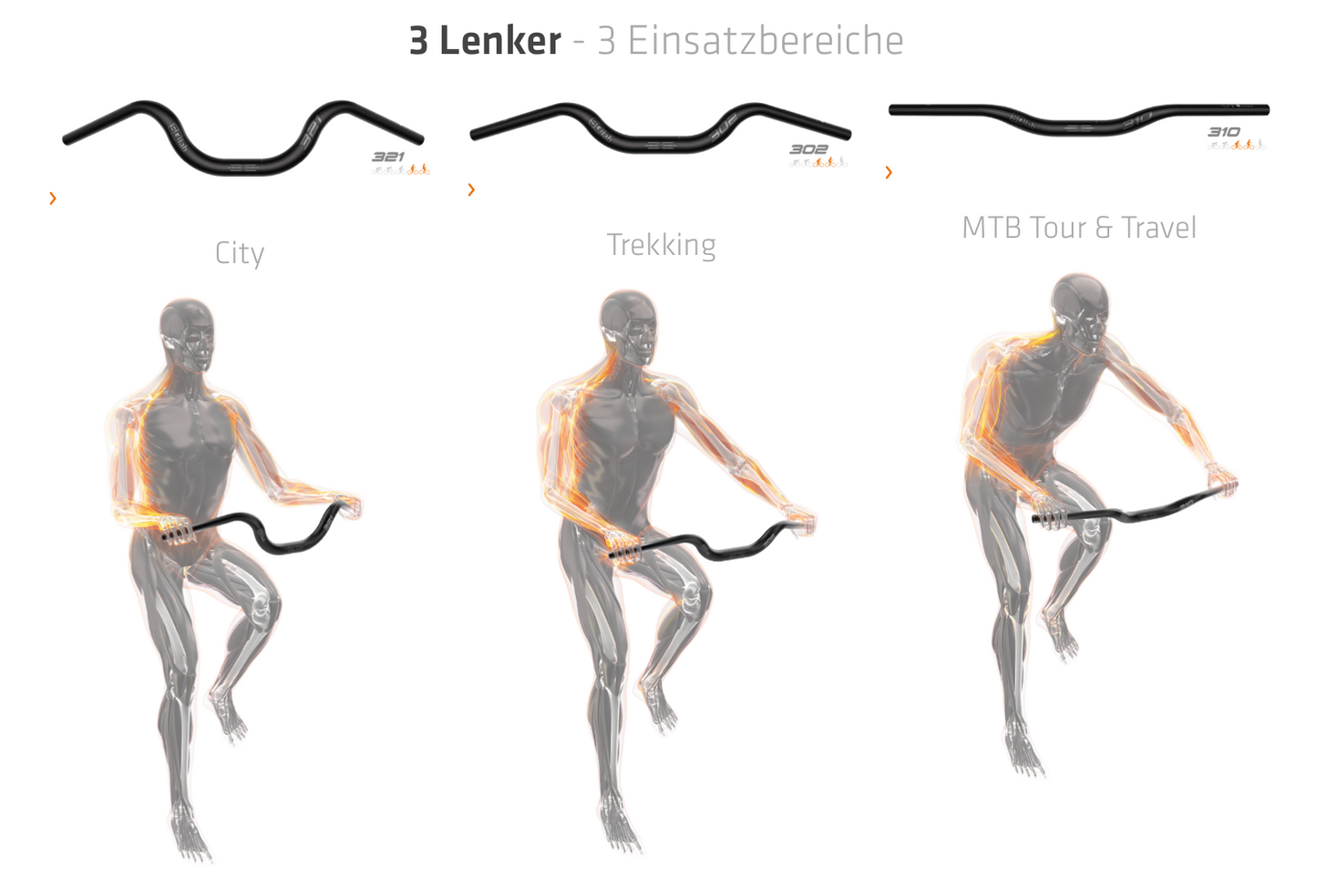 SQlab Lenker "Modell 302 3.0 31,8mm" für Trekking - Original