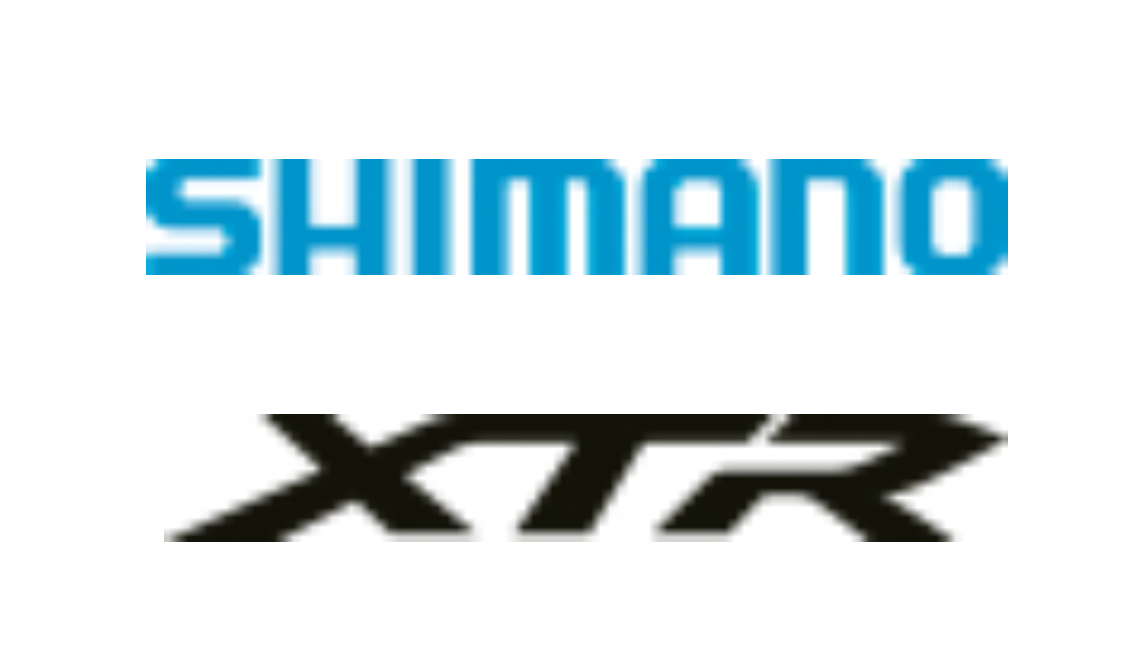 SHIMANO Ersatz-Ritzel für 12-fach CS-M9100 mit 10 + 12 Zähne silber - Y1X498030