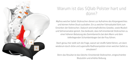 SQlab ONE12 Short – Race-Radhose mit ultradünnem SQ-Pad 12 für Rennrad & MTB