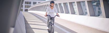 SQlab Lenker "Modell 321 "3.0" 31,8mm" für City - Original