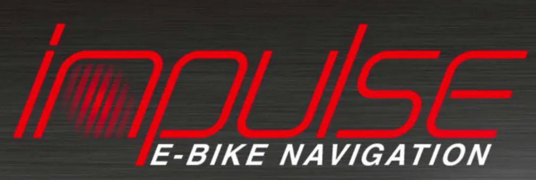 IMPULSE E-Bike Kurbeln für Antriebe der 1. + 2. Generation in 175 mm, 4-Kant Aufnahme in Aluminium schwarz (Kopie)