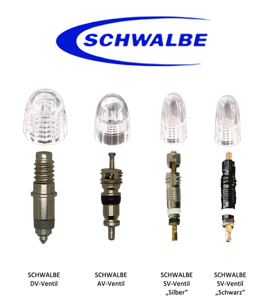 SCHWALBE Ventile für Fahrrad oder E-Bike mit DV-, SV- oder AV-Ventilaufnahmen als Satz (2 Stück) inkl. Staubkappen in Transparent - Original